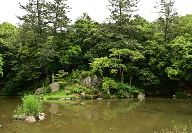 曹源寺庭園