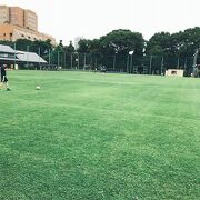 目白台運動公園 クチコミ アクセス 営業時間 目白 フォートラベル 目白台運動公園 クチコミ アクセス 営業時間 目白 フォートラベル