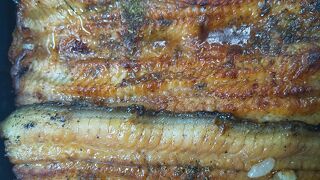 大変上品で美味しい鰻を楽しむことができるお店