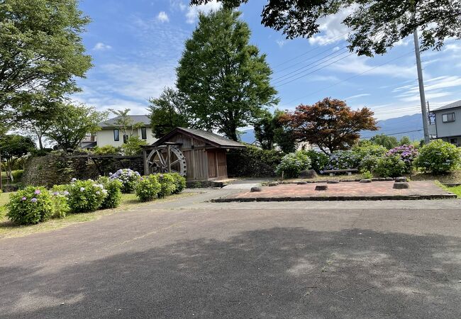 田んぼと水路に囲まれた公園