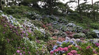 公園中腹までは　そこそこアップダウンもある。