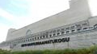 エストニア国立図書館