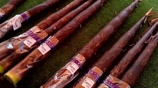 四季折々の野菜