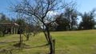 静かでだだっ広い公園