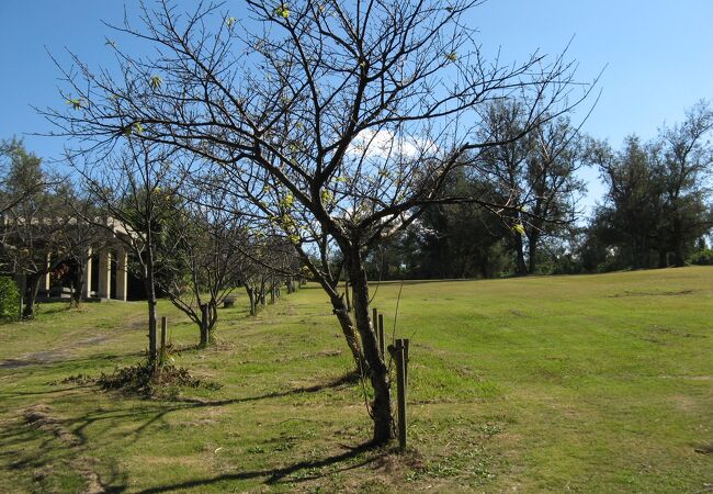 静かでだだっ広い公園