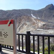 天気が良ければ富士山も目の前