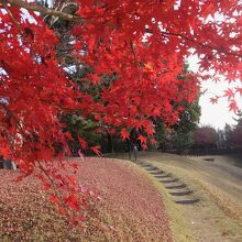 紅葉の園路。回遊。