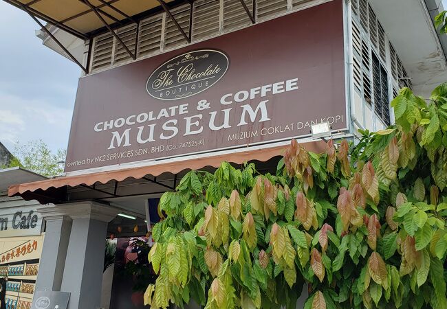 チョコレートの製造工程も見ることができます。