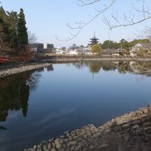 興福寺が見えます。