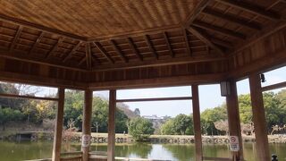 鷺池の中に。天井が面白い造形です。