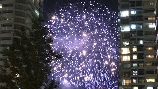 開港祭の花火