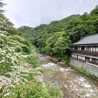 宝川沿いにある立地は良いですが…