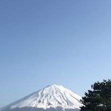 鳴沢の道の駅駐車場からの富士山