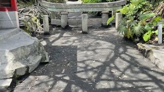 鳥居の上だけ出ています