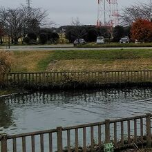 今は浄化されて水もきれいになりました