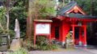 可愛らしい狛犬様の頭