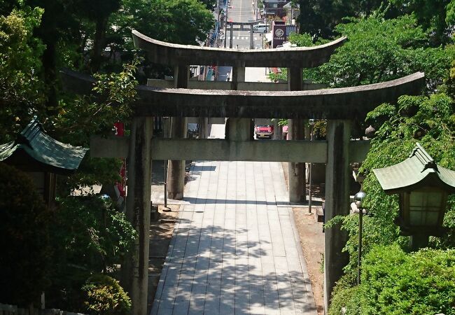 宮地嶽神社 福岡県福津市 クチコミ アクセス 営業時間 宗像 古賀 フォートラベル 宮地嶽神社 福岡県福津市 クチコミ アクセス 営業時間 宗像 古賀 フォートラベル