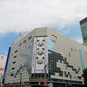 シャンシャン写真展