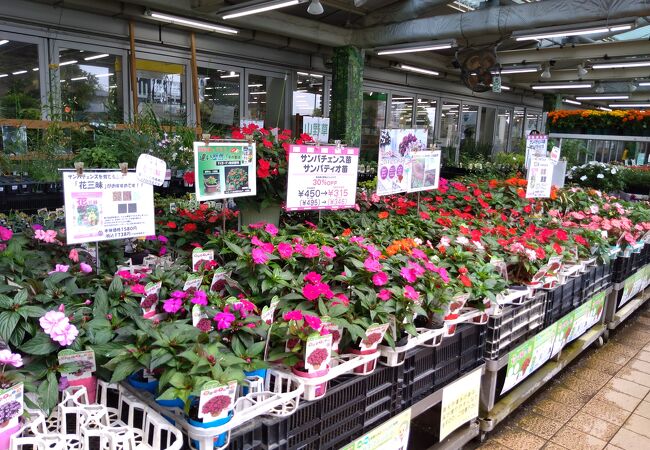 ガーデンセンター横浜 クチコミ アクセス 営業時間 東神奈川 保土ヶ谷 弘明寺 フォートラベル