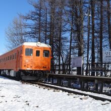 廃線になった線路に停まる電車。色が映えます。