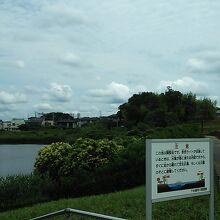 大きな池の周りは空気が涼しくなっていました