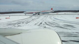 政府専用機の姿も