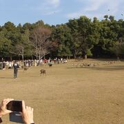 文句なく楽しい。