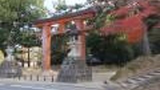 柱がすごく太い。