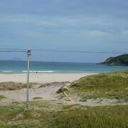 伊豆下田の白浜海岸