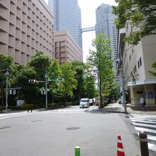 聖ルカ通りと居留地中央通りの交差点です