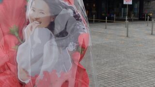 聖子ちゃんの40th Aniversary コンサート！