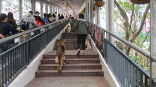 自転車やペットを連れて利用する