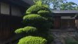 ぎりぎり見せてもらえました