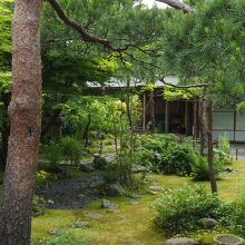 山荘内部から庭園を臨む