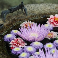 花手水