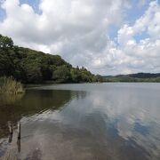 湿原や森林が広がる自然豊かなロケーションにある湖