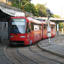 中央駅の停留所に停車していたトラムの車両