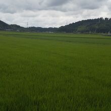 香取駅から香取神宮まで徒歩で移動中の風景