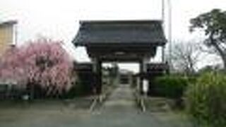 親切な住職さんでした