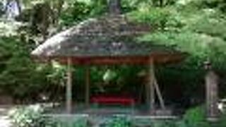 入場無料ですが、展示物はとても充実