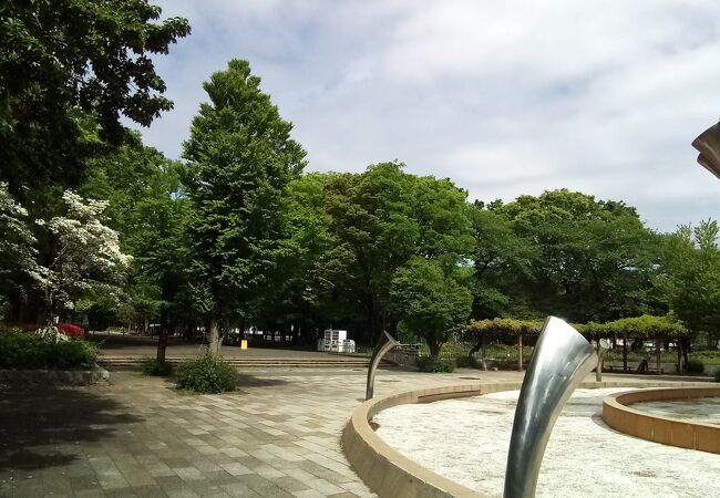 板橋の公園 植物園 クチコミ人気ランキングtop フォートラベル 東京