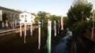 紅葉時はモミジがとてもきれい