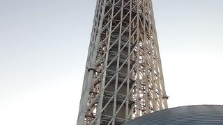 絶対見逃せない