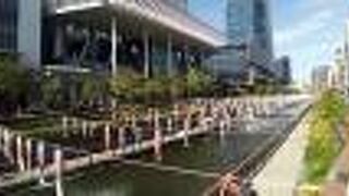 たくさんの鯉のぼりがとてもきれい