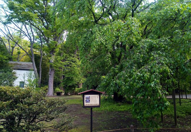 六義園 しだれ桜 クチコミ アクセス 営業時間 大塚 巣鴨 駒込 フォートラベル 六義園 しだれ桜 クチコミ アクセス 営業時間 大塚 巣鴨 駒込 フォートラベル