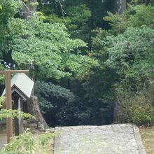 熊野古道大門坂那智山終点付近
