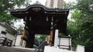 堂々と風格が感じられます。