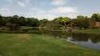 草木・水との調和がたいへん素晴らしい