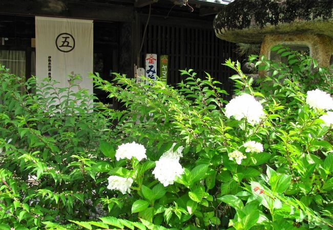 静かな風情と風合いを持ってる旧宿場町　～　伊勢本街道（奥津宿）