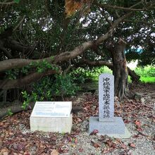 陸軍病院山城本部壕跡